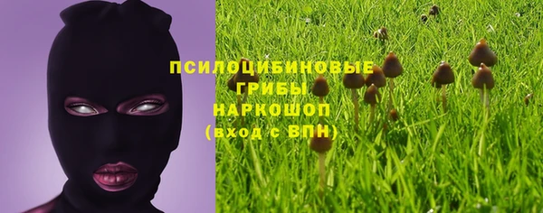 а пвп мука Балабаново