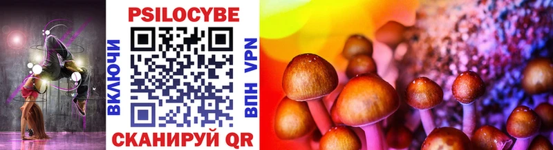 Псилоцибиновые грибы Magic Shrooms  Купить закладки  Бабушкин 