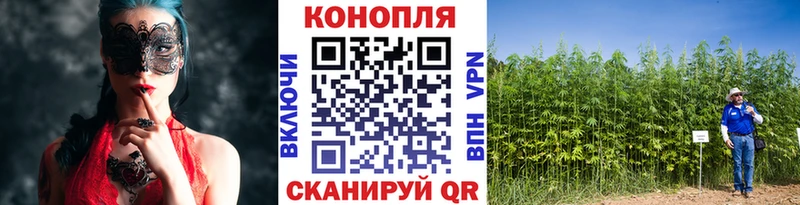 Марихуана SATIVA & INDICA  Купить закладки  Бабушкин 